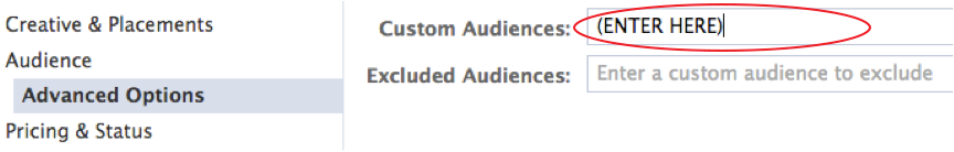 custom data lookalike audiences