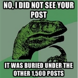 posts in the newsfeed