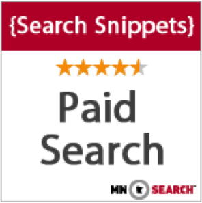 Search Snippets