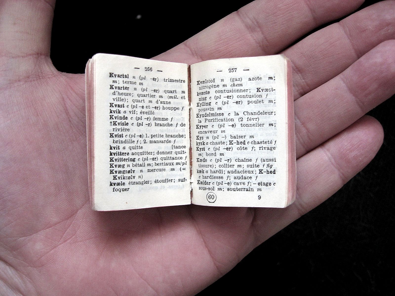 Miniature_DNF_Dictionary_055_ubt