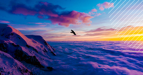 A bird flying over clouds and a mountain range