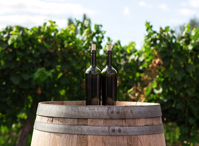 Two wine bottles in a winery