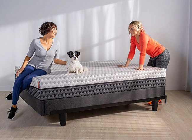 Two people sitting on mattress with dog